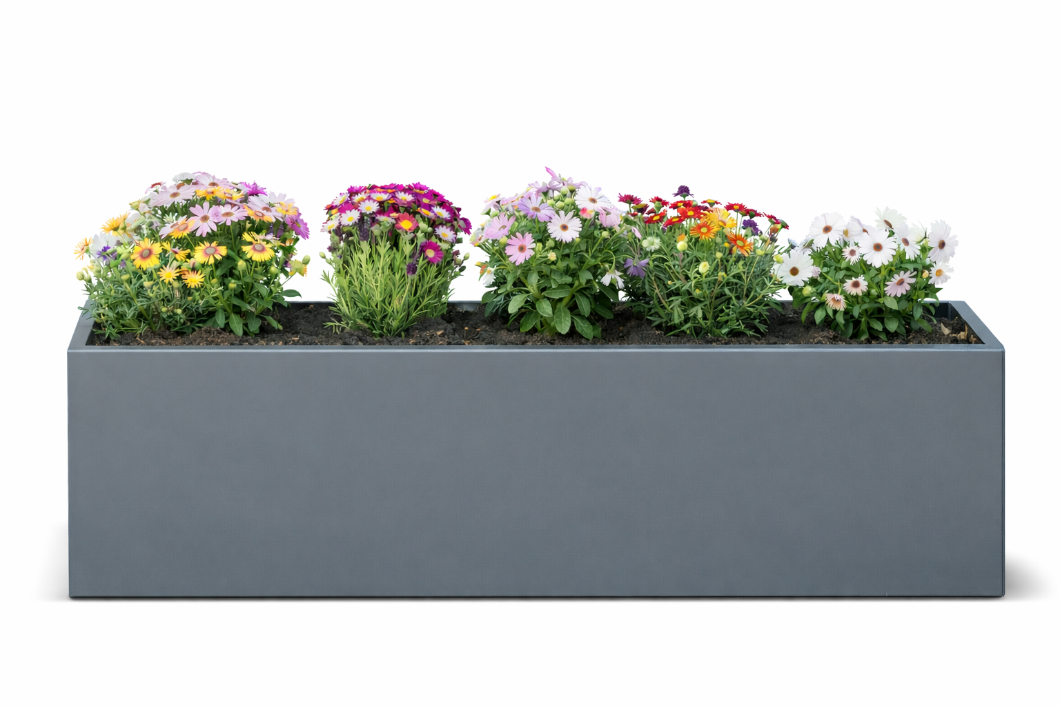 Blumenkübel Isabella vollständig aus Stahl gefertigt, verzinkt und pulverbeschichtet in RAL 7043, modernes Pflanzbeet mit klarer Form für Garten und Terrasse.